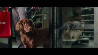 PetSmart Blue Buffalo: Feed Their Wild Side June 2025