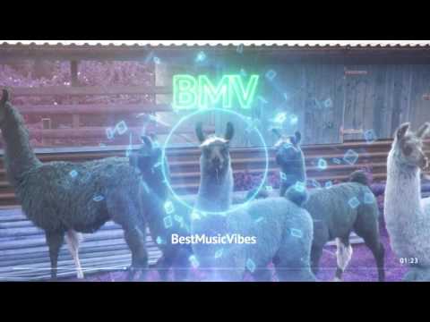 Llama's In My Garden