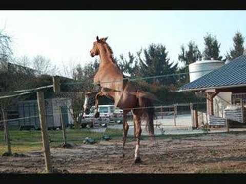la joie d'être libre !