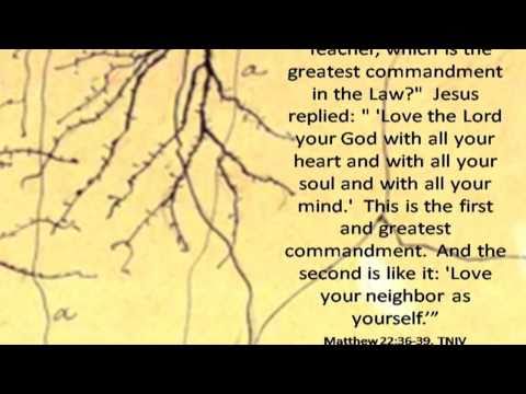 The God of all Neurons