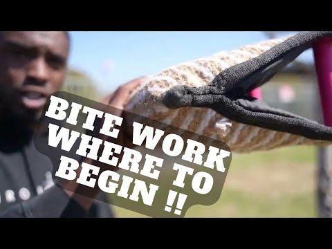 Where To Begin In Bite Work | Protection Dog