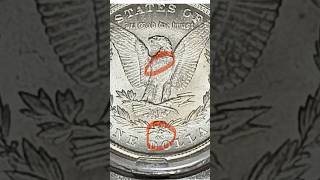 EXPOSED Fake Morgan Silver Dollar Sets on Instagram