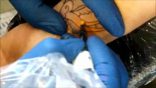 China Ink: Blue Bird Tattoo at the Sydney Tattoo and Body Art Expo 2012