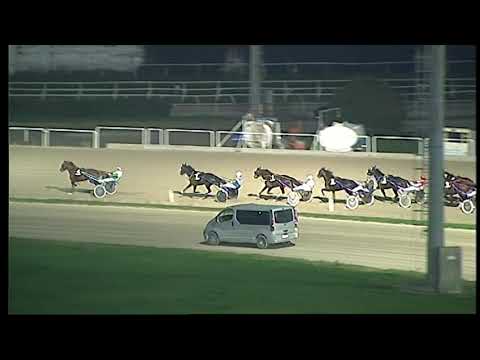 Trotto 20/12/2020 - 8ª corsa