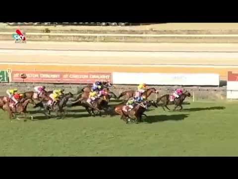 RAILWAY STAKES 2014 - Elite Belle