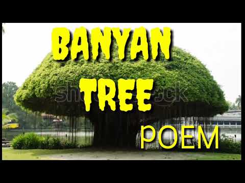 download lagu mp3 mp4 Banyan Tree Poem In English, download lagu Banyan Tree Poem In English gratis, unduh video klip Banyan Tree Poem In English