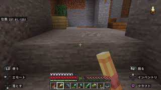 マイクラ