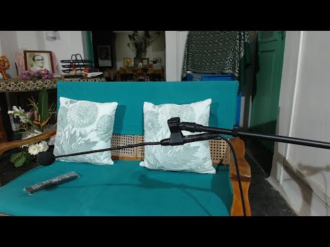 The Life Divine #45 2020-0223