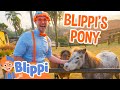 Blippi S Visits The Petting Zoo Farm Animal Learning Kids TV Show Educational Videos For Kids
