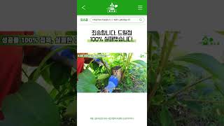 드릴접 100% 실패한 이유?! 베테랑도 놓치는 '이것' 조심하세요! #shorts #farming