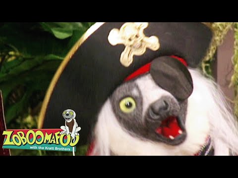 Livestream 🔴 Make An Animal Friend! | Zoboomafoo - WildBrain | Full Episodes for Kids