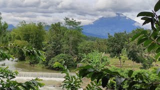 Download lagu Story WA | Status WhatsApp | Lagu Buta Karena Cinta | Dangdut Lawas Legend #vlog #subscribe #status mp3 Download lagu Story WA | Status WhatsApp | Lagu Buta Karena Cinta | Dangdut Lawas Legend #vlog #subscribe #status mp3