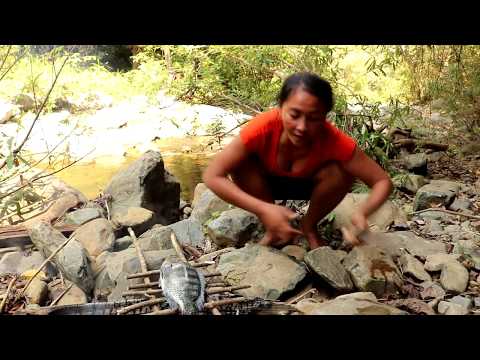 Survival skills: Finding & Catch fish by hand in water - Catch and Cook fish eating delicious #45 Video