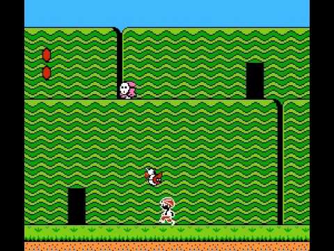 Doki Doki Panic Invincible Testing