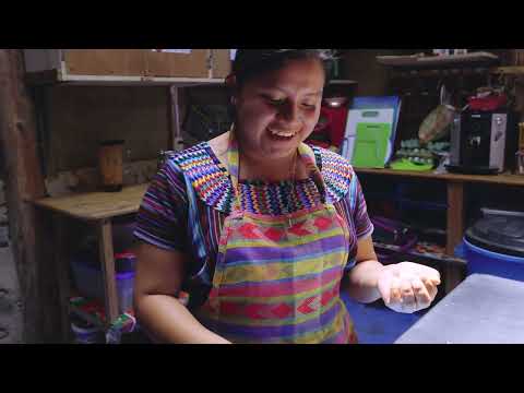 Making Pepián Vegan in Guatemala