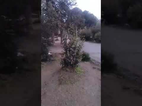 comienzo de semana #villapehuenia#plantadereciclaje#neuquen...