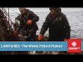 Land & Sea - The Pollock Fishery - Full Episode
