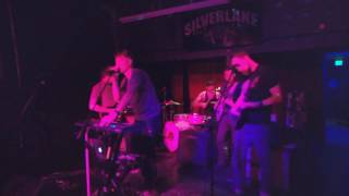 Mute Swans: Intro + New Untitled Song