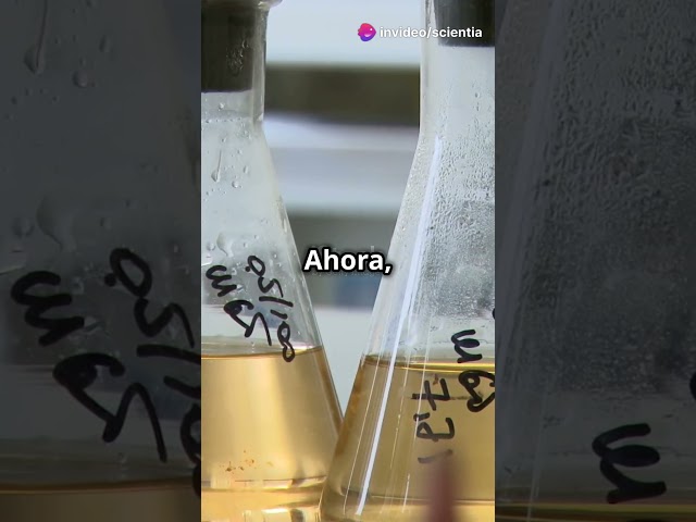 Vídeo relacionado con Paquete de 100 pegatinas científicas, química, biología, física, experimento matemático, decoración del aula de ciencias para el laboratorio de profesores y estudiantes