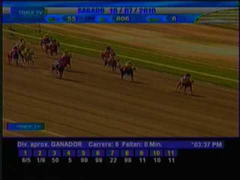 Resumen Sábado 10 de Julio 2010 - La Rinconada