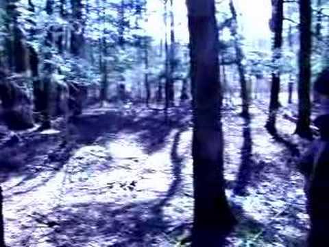 The Devil's Hand: Trailer