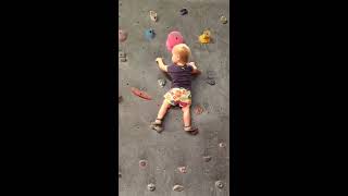 Ребенок ловко карабкается по стене, девочке 1,7 лет - Видео онлайн