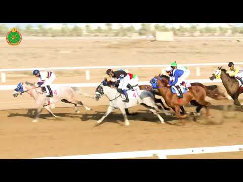 الشوط الخامس - السباق الثالث- 02/11/2018 - Race 5 3rd meeting