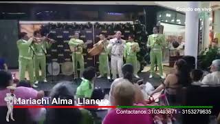 Video de Mariachi Alma Llanera