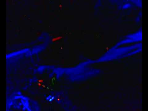 Mark Archer (Altern8 DJ Set) @ A Loca Pt 03 19 09 09