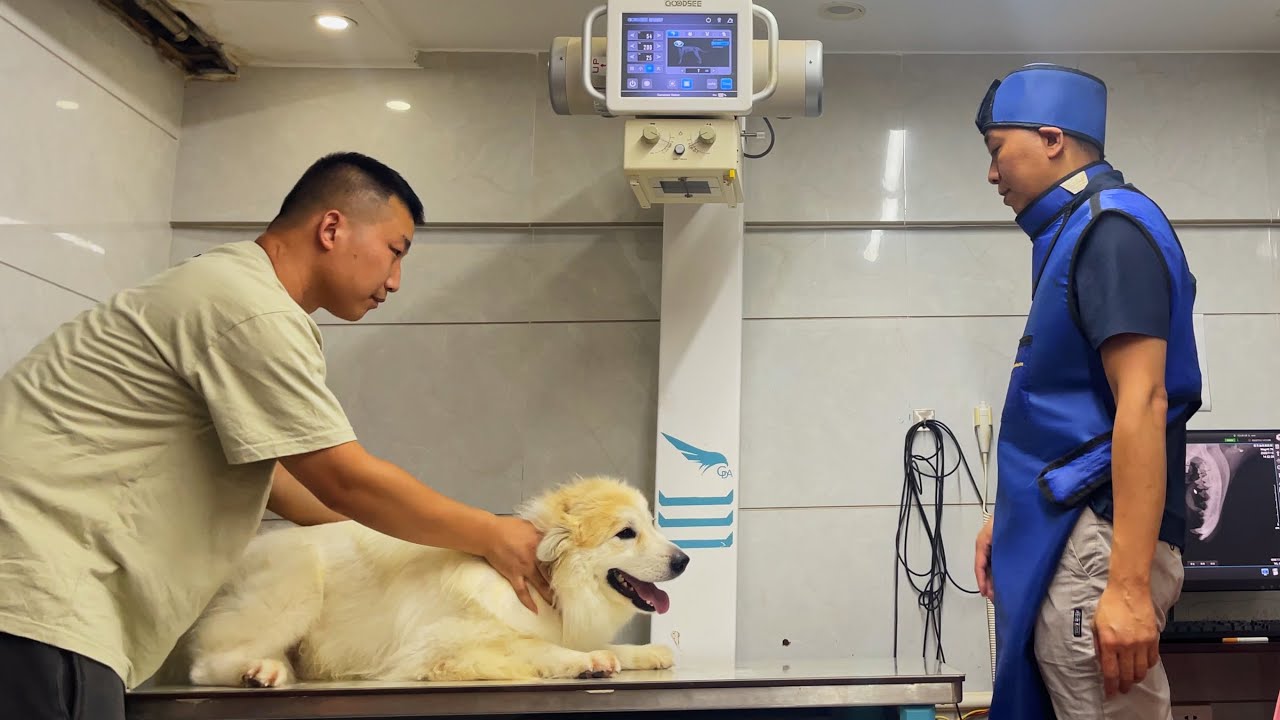 ??????????????????????????????