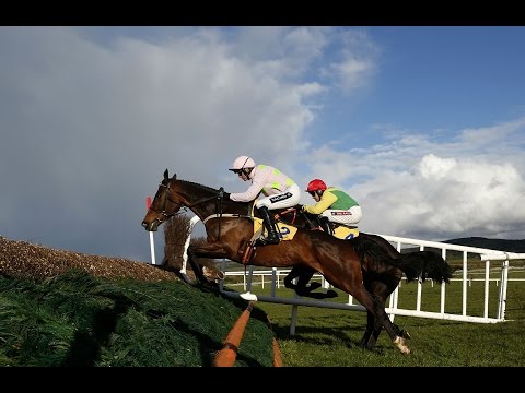 Douvan - Ryanair Novice Chase (Grade 1) - 2016