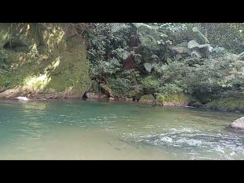 Fuentes hídricas de piamonte cauca 