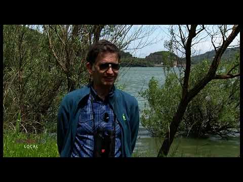Il lago Angitola, paradiso della biodiversità e preziosa oasi del Wwf