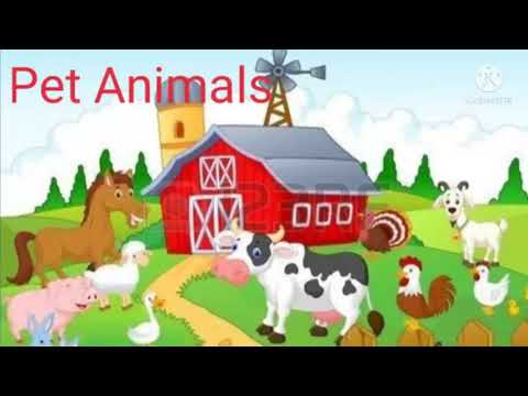 Pet Animals by fun and learn with Bhavya