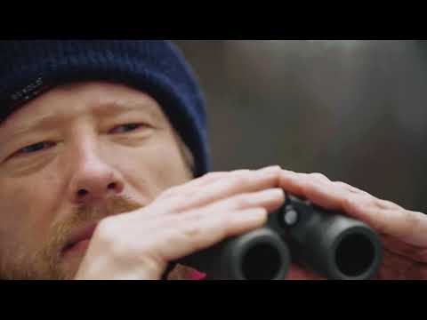 Dzikim Okiem – zwierzęta w mieście