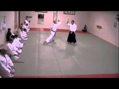 Aikido Hiryukan 合気道飛龍館Stephen Ohlman オールマン Shihan 師範 (3)