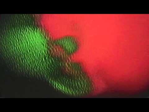 The Underground Youth - The Girl Behind - Haunted LP