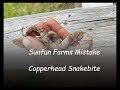 2017-12-8 Sunfun Farms Mistake - Copperhead Snakebite