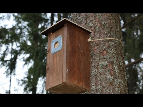 Miljoona linnunpönttöä