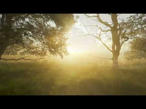 GaBLeX - Intro (Walk a long way)