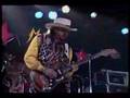 Steve Ray Vaughan-Scuttle Buttin