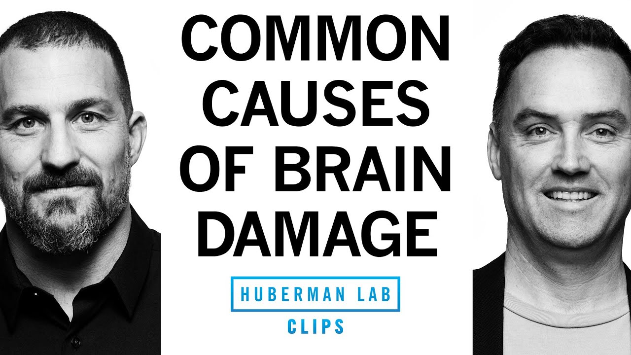 Alcohol & Other Common Causes of Brain Damage | Dr. Matt MacDougall & Dr. Andrew Huberman