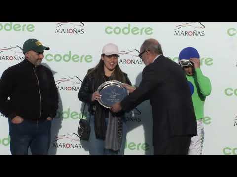 230813 c05 Romántico/ VOO DE ICARO (BRZ)