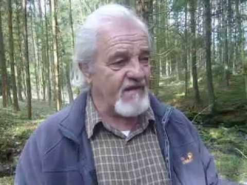 Hajo Bachs Harzkerzen