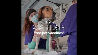 National Pet Vaccination Month 2023 | Petco Love