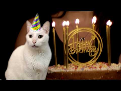 Happy Birthday Song