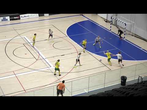 Maalikooste: Ilves FS/2 - RaiFu