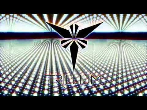 TRILLIUM - Battle Scars Part 2 (Official Audio)