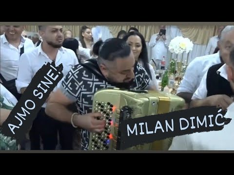 MILAN DIMIC - AJMO SINE SHOW LIVE! NOVO