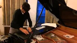 Rama Gottfried Wacom-enhanced piano